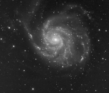 M101 et la supernova 2023ixf | La galaxie du Moulinet | 7 Aout 2023 | L'image est l'empilement de 15 images de 20s faites avec la caméra monochrome Moravian C3 sur le télescope T820 de Bélesta. Acquisition via Prism v11 par Pascal André, Erik Guthleben, Cédric Latgé, Cédric
Pénard, Patrick Martinez. | Pré-traitement : Patrick Martinez | Traitement : Cédric LATGE M101 et la supernova 2023ixf